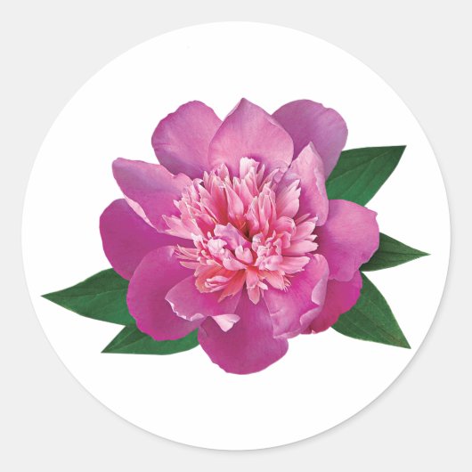 Sticker Rond Petite Pierre rose (Devant)