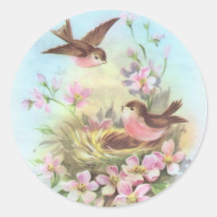 Sticker Rond Petites oiseaux
