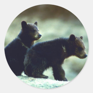 Sticker Rond Petits animaux d'ours noir