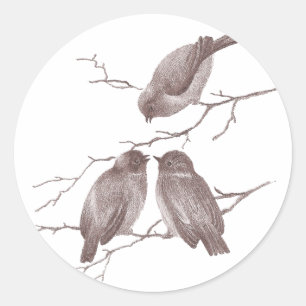 Sticker Rond Petits oiseaux qui bavardent sur une branche d'hiv