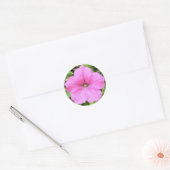 Sticker Rond Petunia rose (Enveloppe)