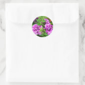 Sticker Rond Petunia Tumbelina Julia (Sac)