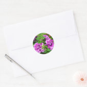 Sticker Rond Petunia Tumbelina Julia (Enveloppe)
