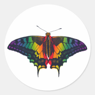 Sticker Rond Philadelphie Rainbow Pride Flag Swallowtail