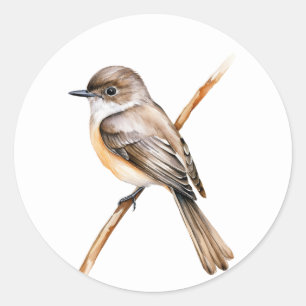 Sticker Rond Phoebe orientale