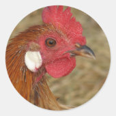 Sticker Rond Phoenix Rooster (Devant)