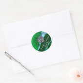 Sticker Rond Phoque mariage damassé vert et rose (Enveloppe)