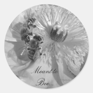 Sticker Rond Phoques de Faire-part de mariage à fleurs blanches
