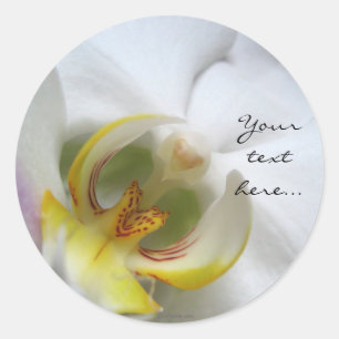 Sticker Rond Phoques de Faire-part de mariage d'orchidées Phala