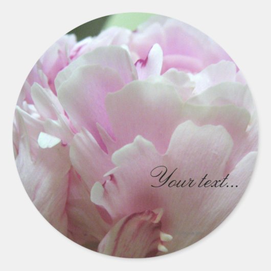 Sticker Rond Phoques de Faire-part de mariage rose Peony (Devant)