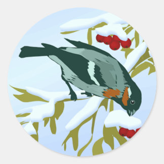 Sticker Rond Phoques d'oiseaux de neige de Noël