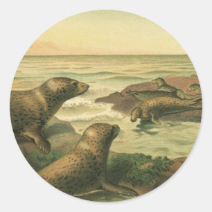Sticker Rond Phoques léopards, Animaux aquatiques vintage Vie m