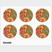 Sticker Rond Phoques/Stickers Mariage tropicaux Poinciana (Feuille)