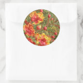 Sticker Rond Phoques/Stickers Mariage tropicaux Poinciana (Sac)