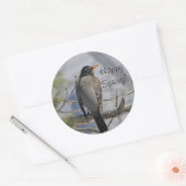 Sticker Rond photo américaine de robin (Enveloppe)