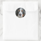 Sticker Rond Photo Bernese Mountain Dog (Sac)
