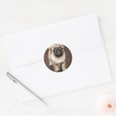 Sticker Rond Photo Chiot Carlin mignon (Enveloppe)