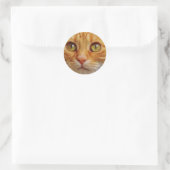 Sticker Rond Photo de chat Ginger (Sac)