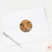 Sticker Rond Photo de chat Ginger (Enveloppe)