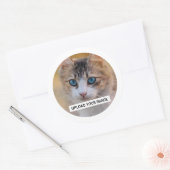 Sticker Rond Photo de chat personnalisée (Enveloppe)