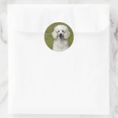 Sticker Rond Photo de chien blanc de caniche (Sac)