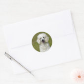 Sticker Rond Photo de chien blanc de caniche (Enveloppe)