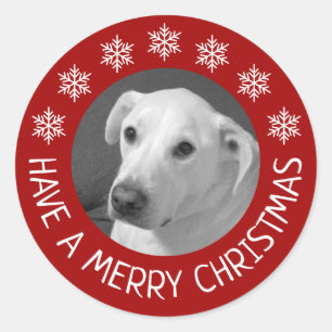 Sticker Rond Photo de chien blanc paisible Joyeux Noël Rouge
