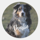 Sticker Rond Photo de chien personnalisée (Devant)