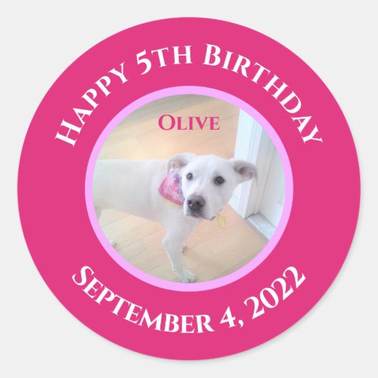 Sticker Rond Photo de chiot adorable portant une écharpe rose v (Devant)