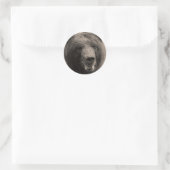 Sticker Rond Photo de la faune de l'ours grizzli Brown (Sac)