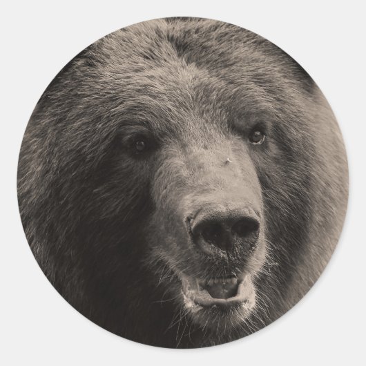 Sticker Rond Photo de la faune de l'ours grizzli Brown (Devant)
