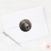 Sticker Rond Photo de la faune de l'ours grizzli Brown (Enveloppe)
