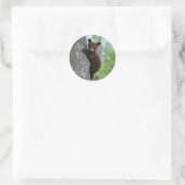 Sticker Rond Photo de l'arbre de l'ours Brown (Sac)