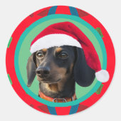 Sticker Rond Photo de vacances vert rouge de votre chien ou de  (Devant)
