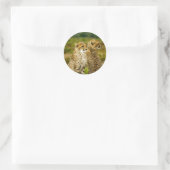 Sticker Rond Photo de Wildlife Cheetah (Sac)