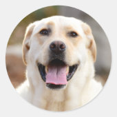 Sticker Rond Photo Dog (Devant)