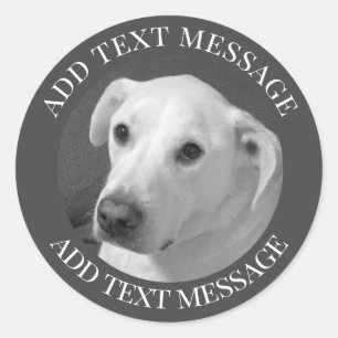 Sticker Rond Photo en noir et blanc d'un beau chien à l'âne
