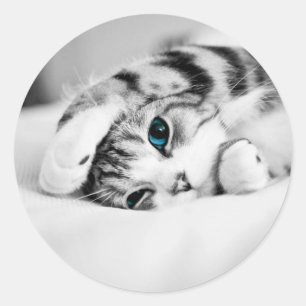 Sticker Rond Photo en noir et blanc d'un chat