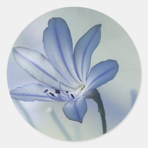 Sticker Rond Photo Fleur Bleue Frais