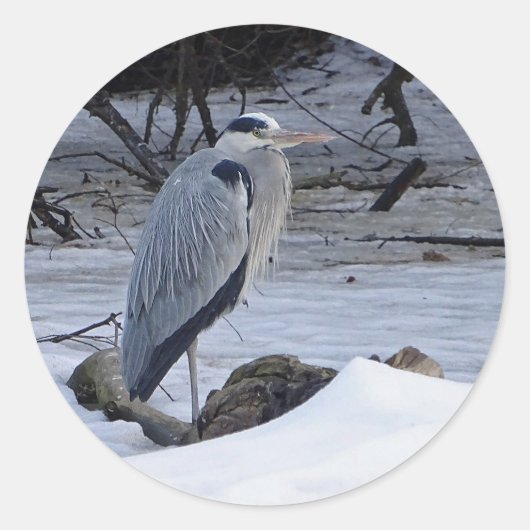 Sticker Rond Photo Great Blue Heron Snow (Devant)