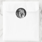 Sticker Rond Photo Lion noir et blanc (Sac)