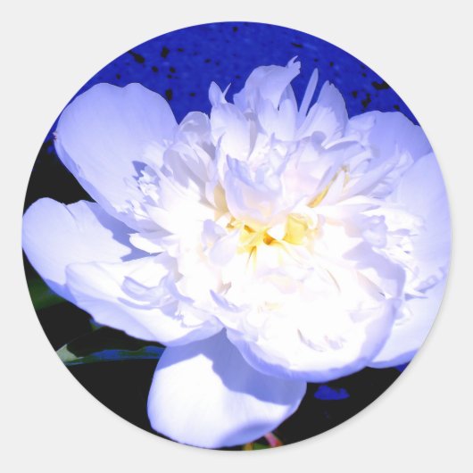 Sticker Rond Photo Peony blanc et violet (Devant)