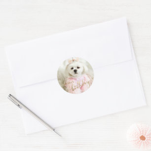 Sticker Rond Photo personnalisée Chien animal de compagnie Typo