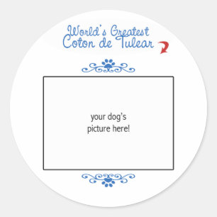 Sticker Rond Photo personnalisée ! Coton de Tulear le plus gran