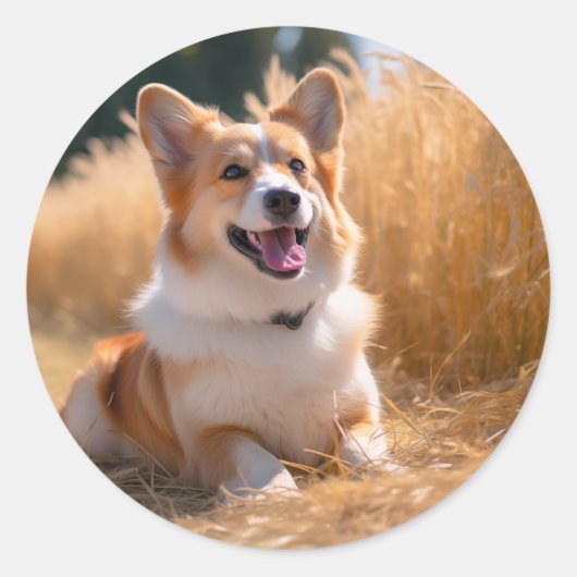Sticker Rond Photo personnalisée pour animaux (Devant)