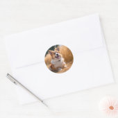Sticker Rond Photo personnalisée pour animaux (Enveloppe)