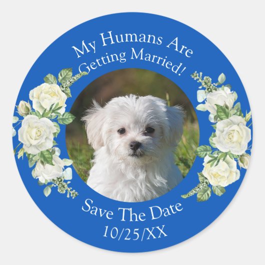 Sticker Rond Photo Pour Animaux De Compagnie, Enregistrer La Da (Devant)