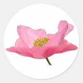 Sticker Rond Photo Pretty Rose Poppy (Devant)