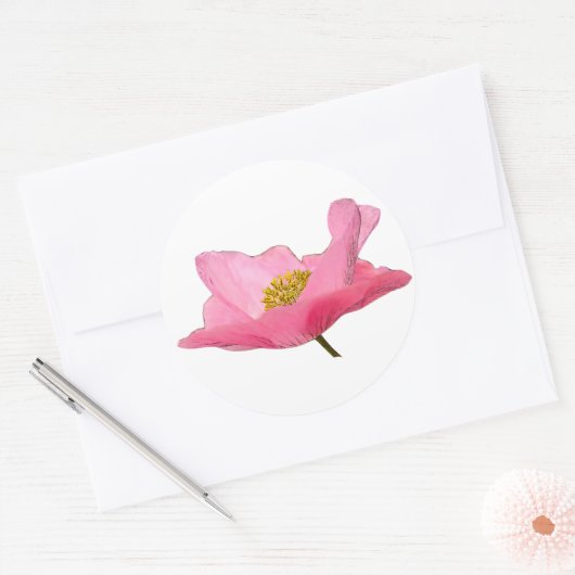 Sticker Rond Photo Pretty Rose Poppy (Enveloppe)