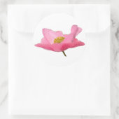 Sticker Rond Photo Pretty Rose Poppy (Sac)